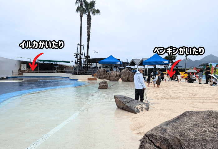 大分県大分市にある水族館「うみたまご」のあそびーち
※2024年6月22日土曜日に子連れで行った際の実際の画像