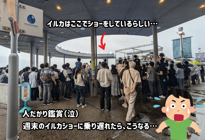 大分県大分市にある水族館「うみたまご」のイルカショーに遅れると、人混みしかみえない状況
※2024年6月22日土曜日に子連れで行った際の実際の画像
