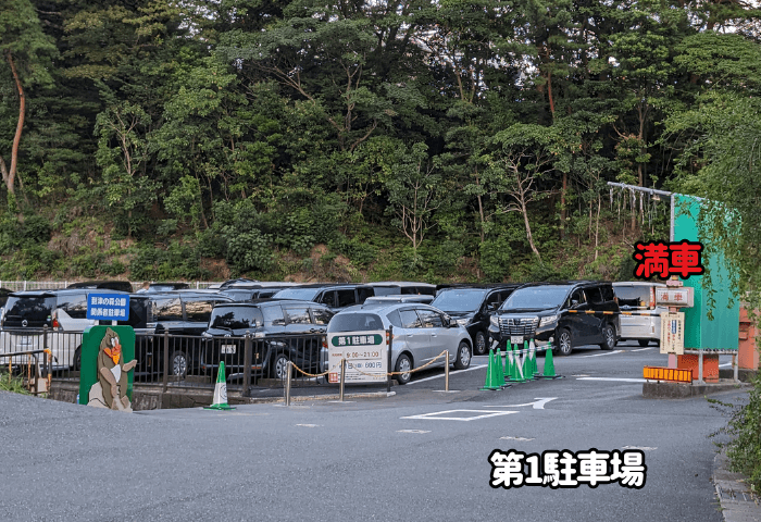 福岡県北九州市にある「到津の森公園」第一駐車場の画像
夜の動物園18:25に実際に行った際の満車の様子