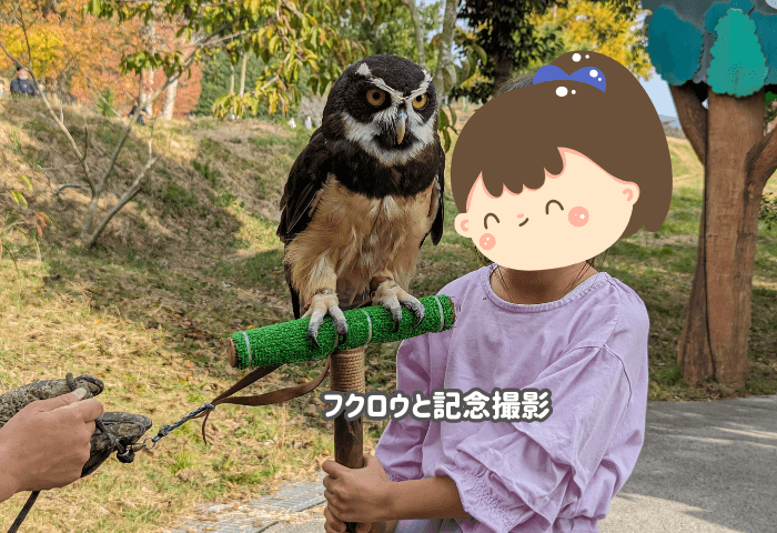 山口県美祢市にある「秋吉台自然動物公園サファリランド」に実際に子連れで行った際の画像
フクロウと記念撮影する女の子