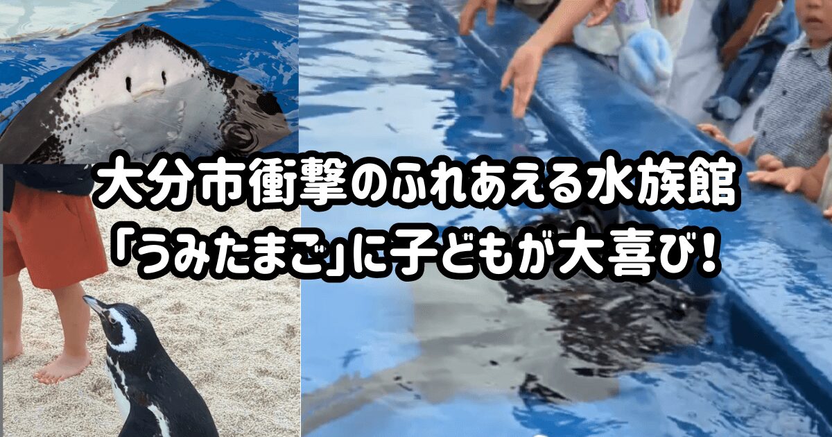 大分市衝撃のふれあえる水族館「うみたまご」に子どもが大喜び！