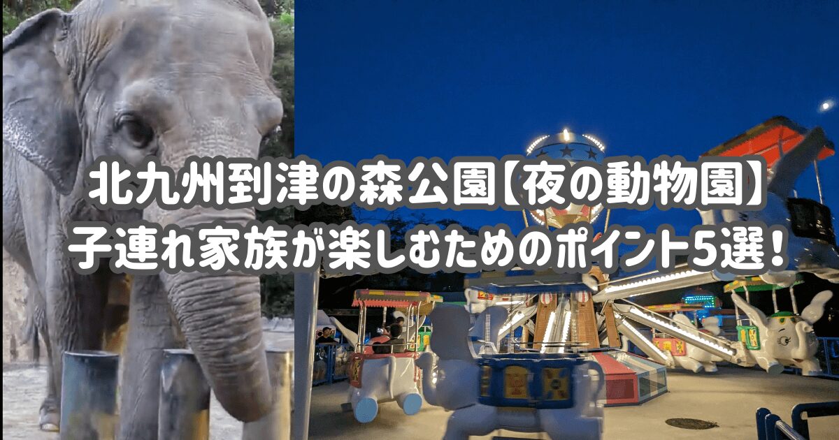 北九州到津の森公園【夜の動物園】子連れ家族が楽しむためのポイント5選！