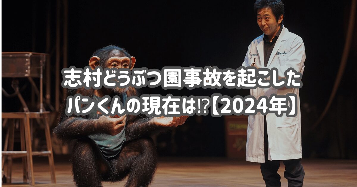 志村どうぶつ園事故を起こしたパンくんの現在は⁉【2024年】