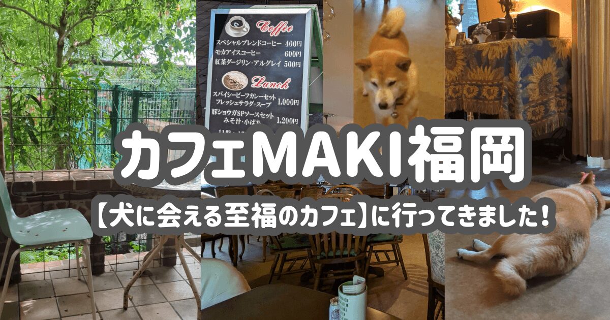 カフェMAKI福岡【犬に会える至福のカフェ】に行ってきました！